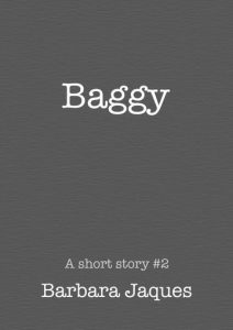 Cover for 'Baggy' by Barbara Jaques